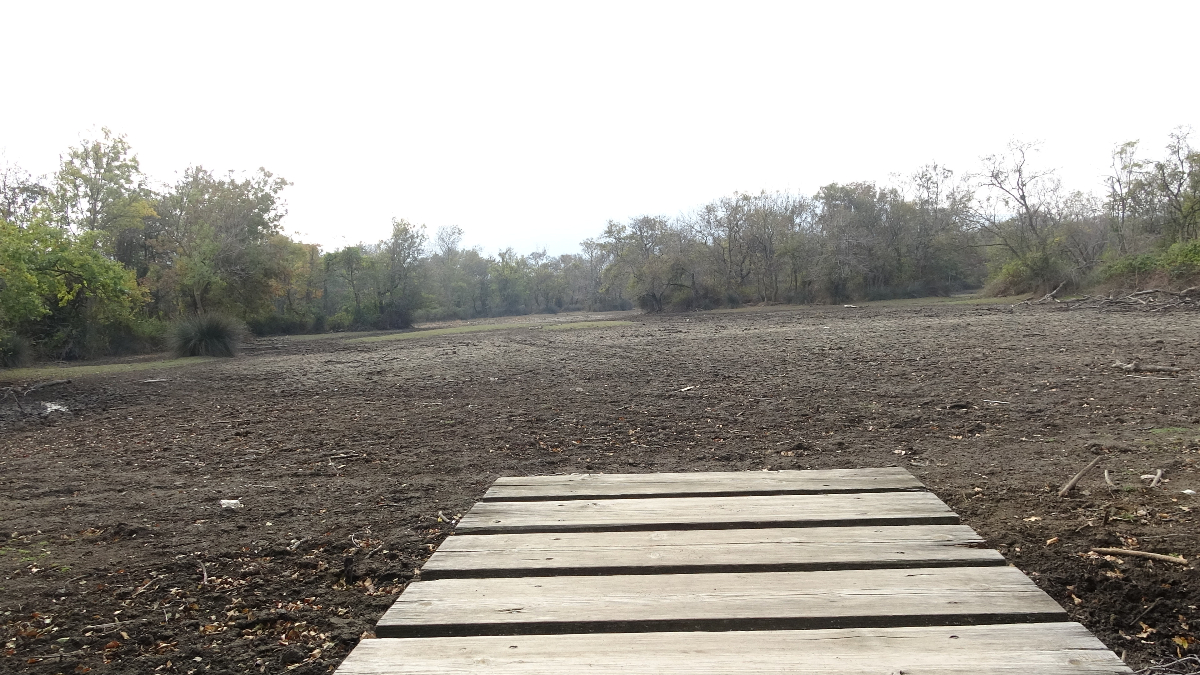 Karacabey Longozu, Türkiye’nin Üçüncü Büyük Longozu Kurudu Karacabey Longozu, Türkiye’nin Üçüncü Büyük Longozu Kurudu