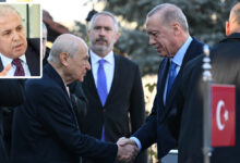 Şamil Tayyar: Erdoğan ve Bahçeli Uzlaştı