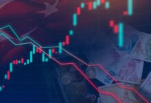 Enflasyonda Düşüş İçin İstikrar Vurgusu Önemli